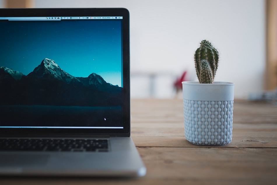Foto de um laptop com imagem de montanha, apoioado sobre uma mesa de madeira com um jarro de planta.